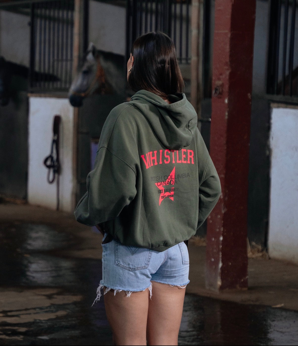 HOODIE WHISTLER VERDE Y NARANJA FLUOR