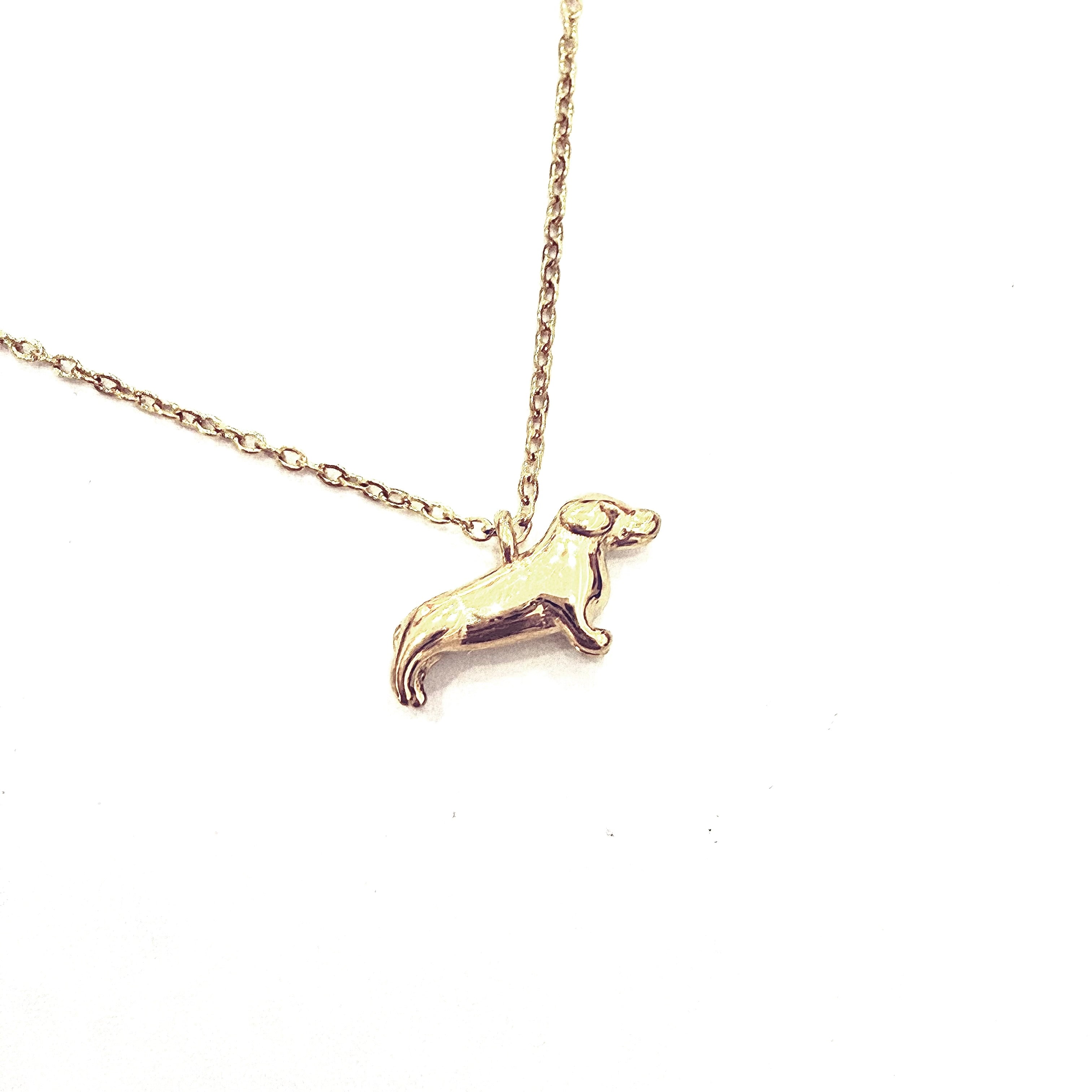 COLLAR MINI PERRO