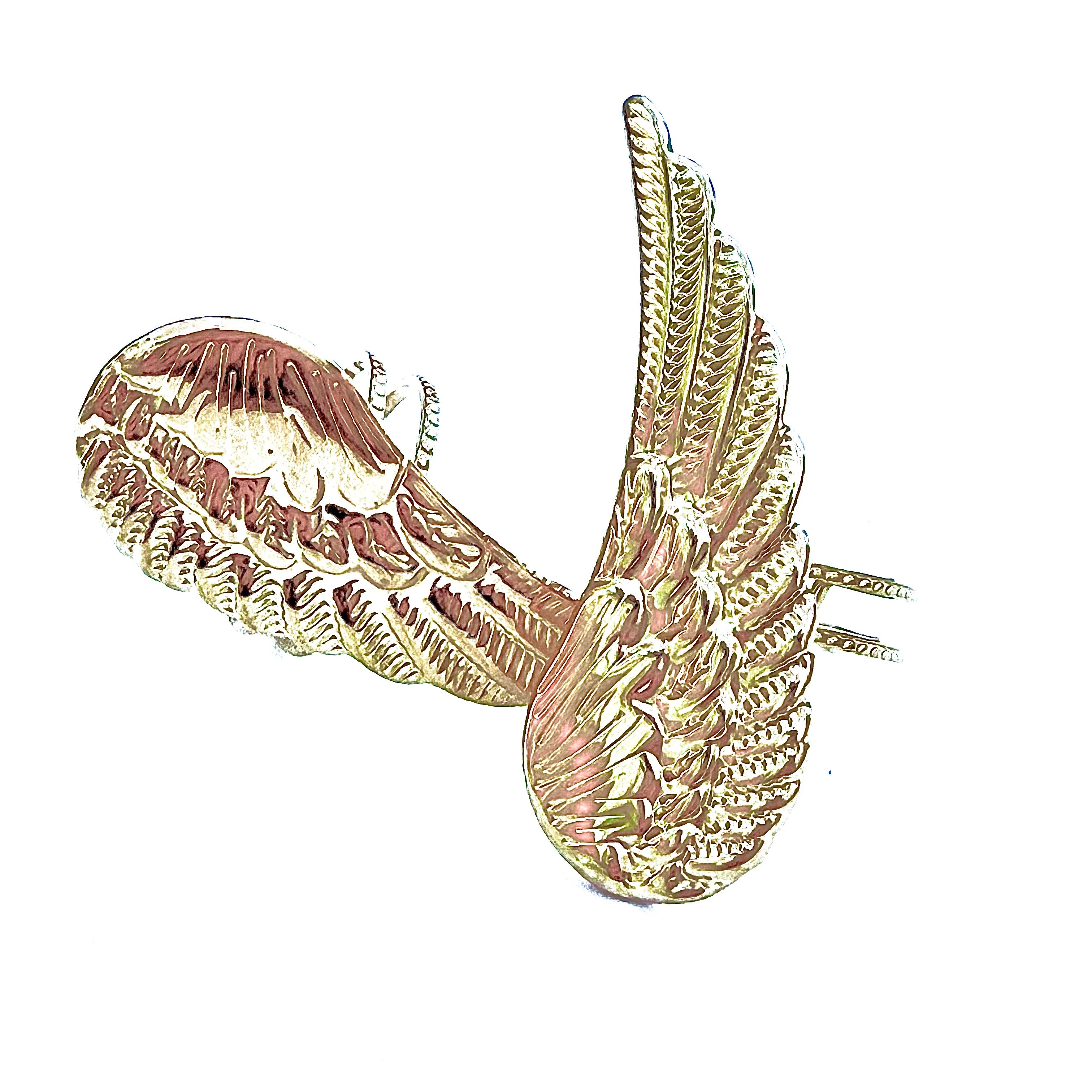 ANILLO ALAS GRANDE